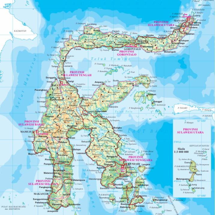 Keunggulan Logistik Benteng Gading di Sulawesi, dengan topografi yang unik dan keanekaragaman budayanya, menantang Benteng Gading untuk memberikan layanan ekspedisi yang tidak hanya cepat tetapi juga handal.